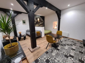 Studio atypique en plein centre